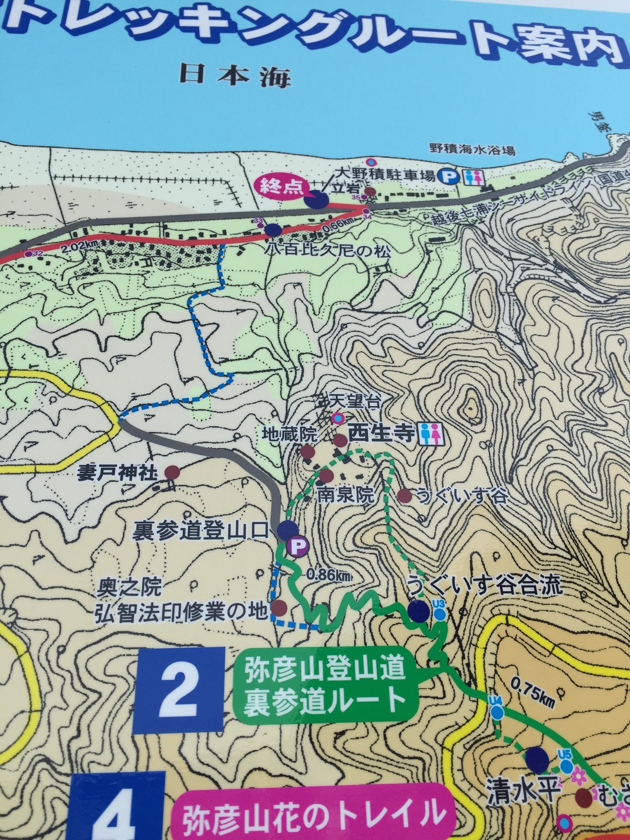 弥彦山 裏参道 八枚沢コース周回 ミイラ もときさんの長岡市 北エリアの活動日記 Yamap ヤマップ