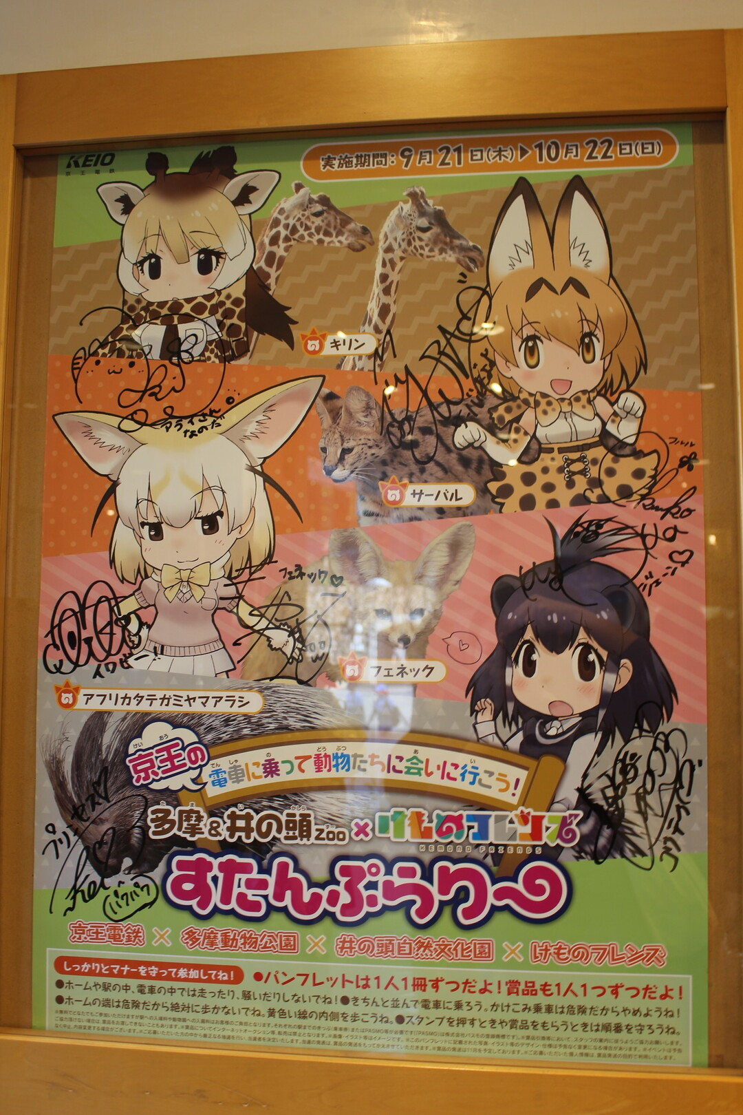 けもフレスタンプラリーしてみた 鎌倉とけもフレの旅 3日目 るぷるどぅさんの多摩市の活動データ Yamap ヤマップ