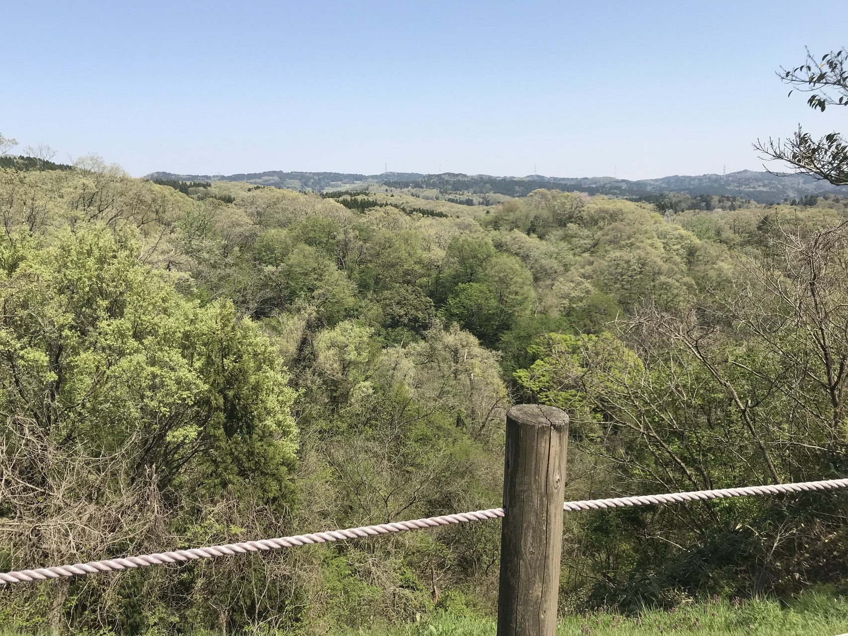 石川県 森林公園 高松ドッグラン ひでひでさんの金沢市の活動日記 Yamap ヤマップ