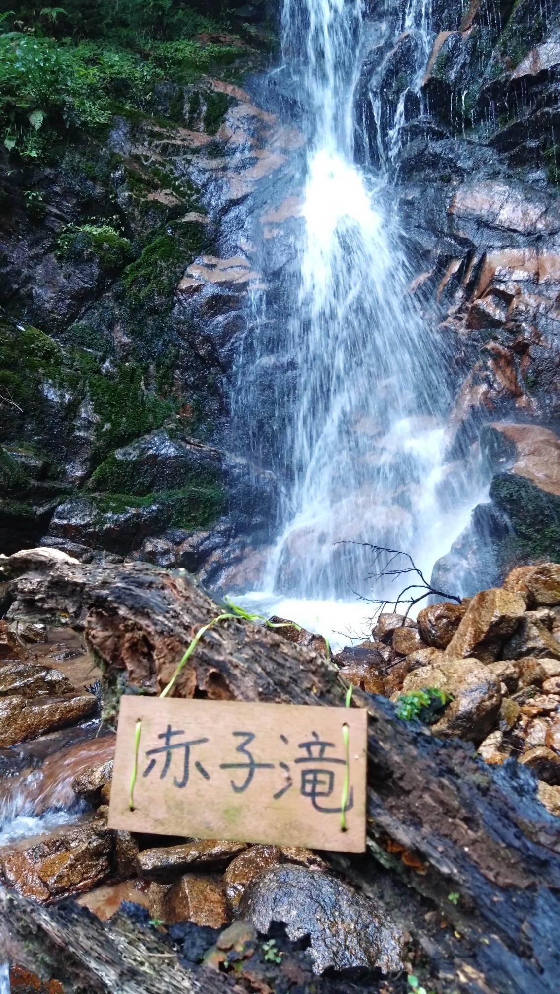 たはまらやま カード検索 ｜ Z/X - Zillions of enemy X - ゼクス公式