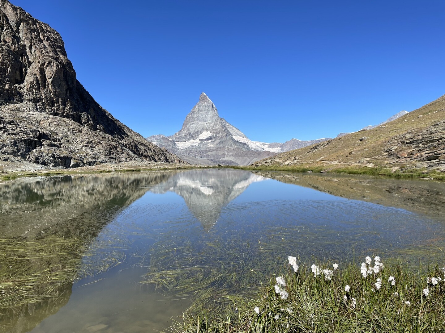 ゴルナーグラード鉄道🚞ハイキング20220801 / ayaさんのマッターホルンの活動日記 YAMAP / ヤマップ