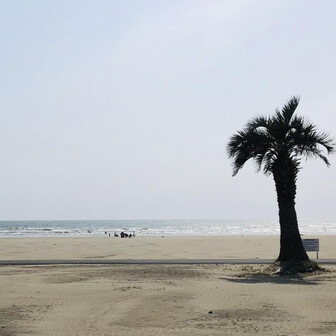 社員マスカット