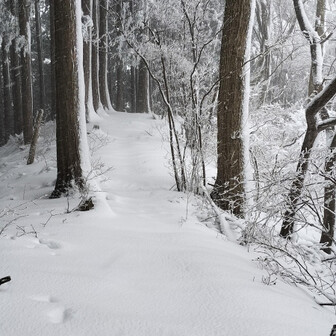 生藤山 雪が積もっています