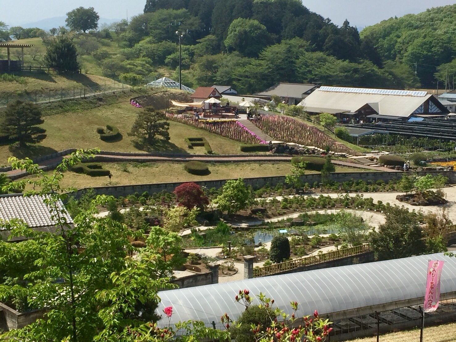 茂呂山 鹿沼市花木センター Hit Omiさんの宇都宮市の活動日記 Yamap ヤマップ