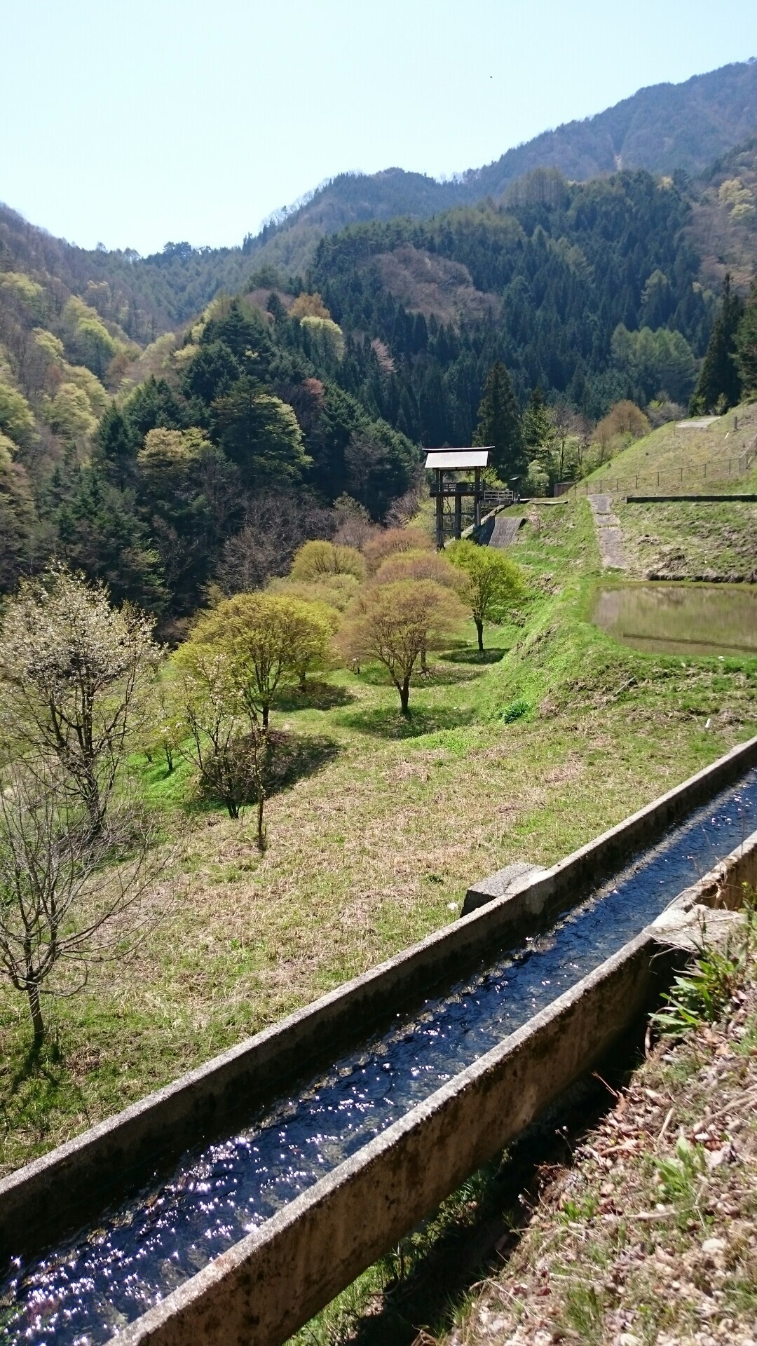 信濃比叡 廣拯院 春キャン じゅんさんの恵那山 大判山 神坂山の活動日記 Yamap ヤマップ