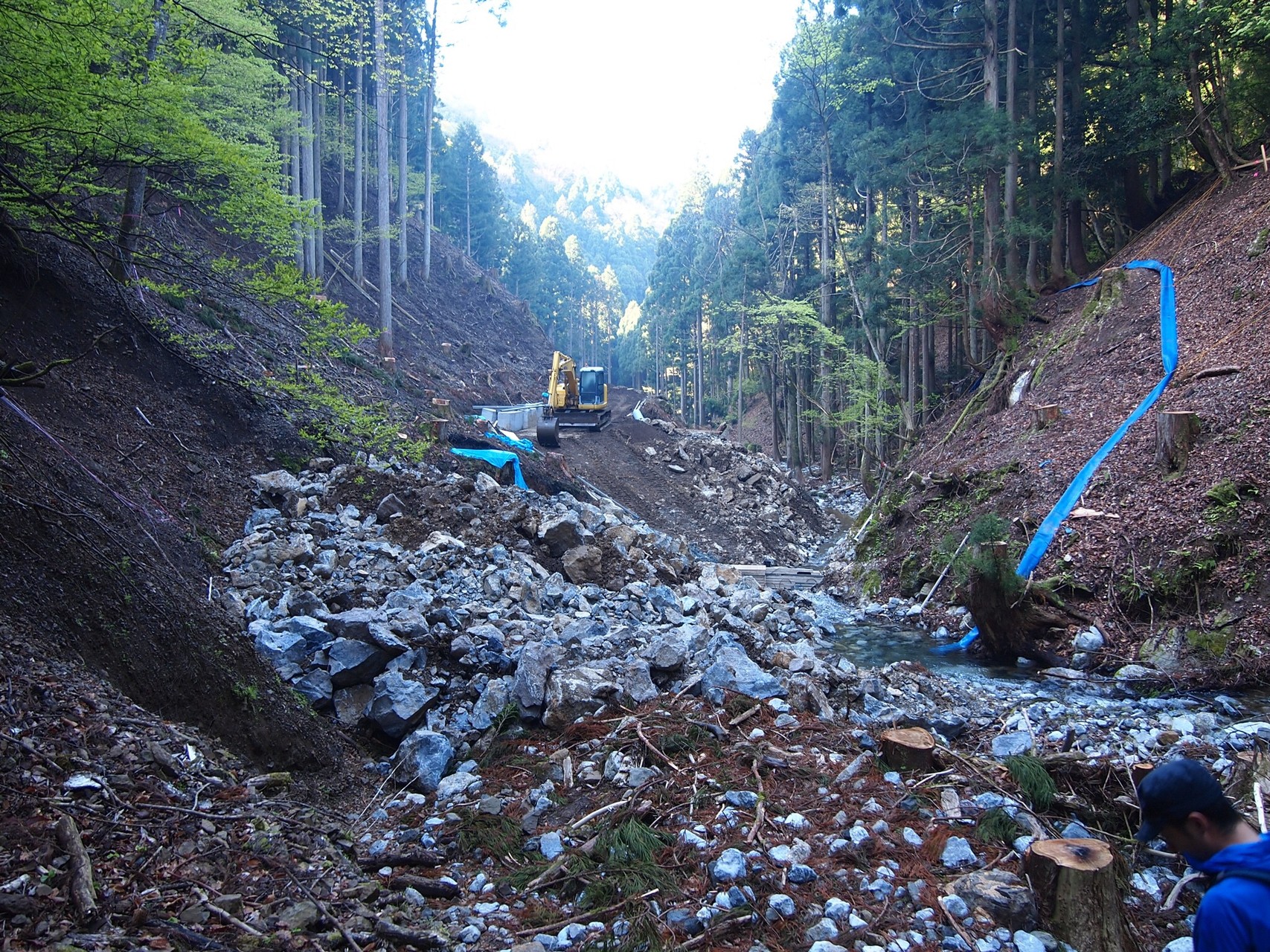 春の霊仙山 落合廃村 榑ヶ畑周回コース むーさんの霊仙山の活動日記 Yamap ヤマップ