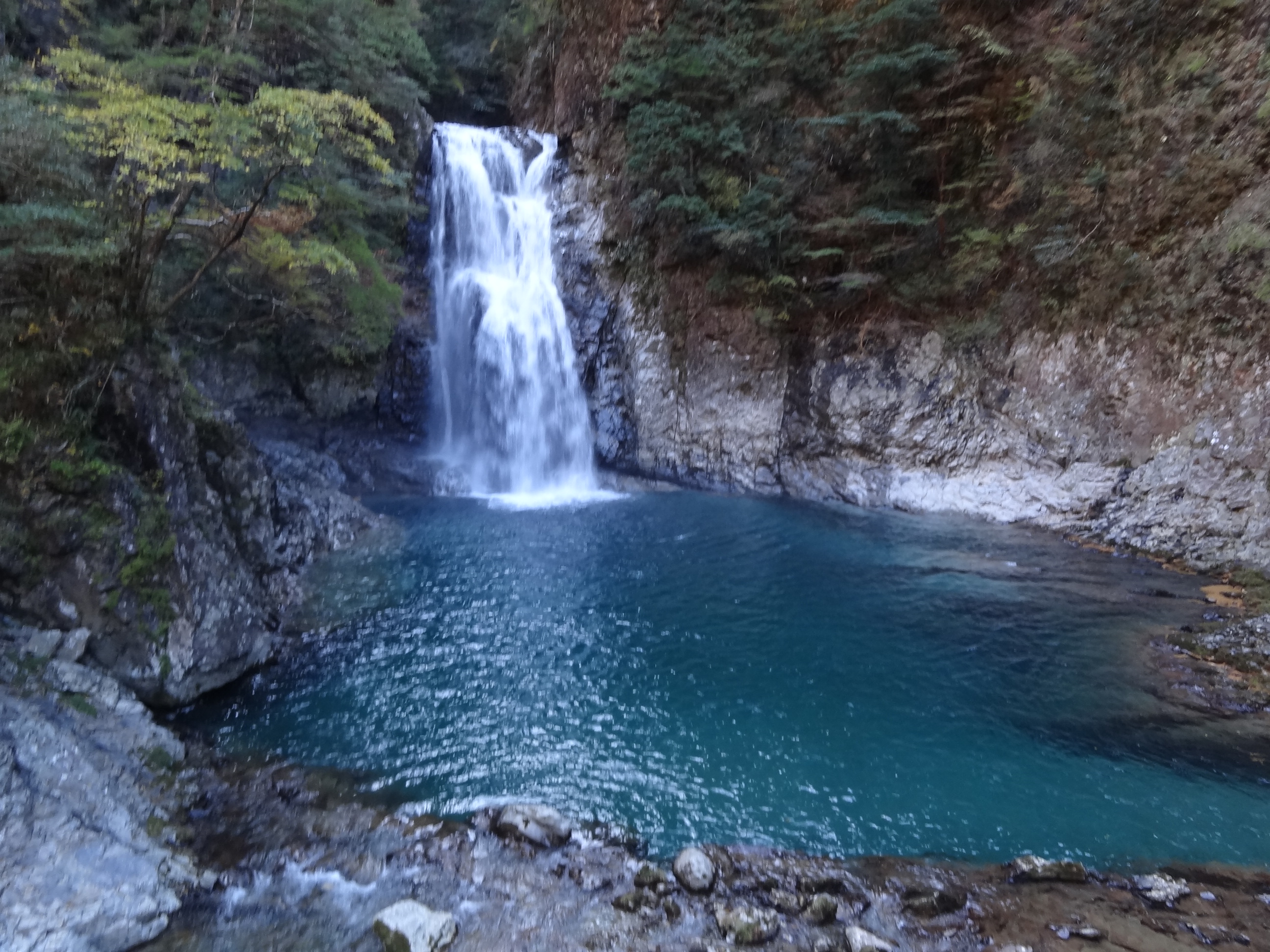 大杉谷から日出ヶ岳そして大台ケ原へ縦走 感動しまくり ナマコさんの大台ヶ原山 日出ヶ岳 大杉谷の活動日記 Yamap ヤマップ