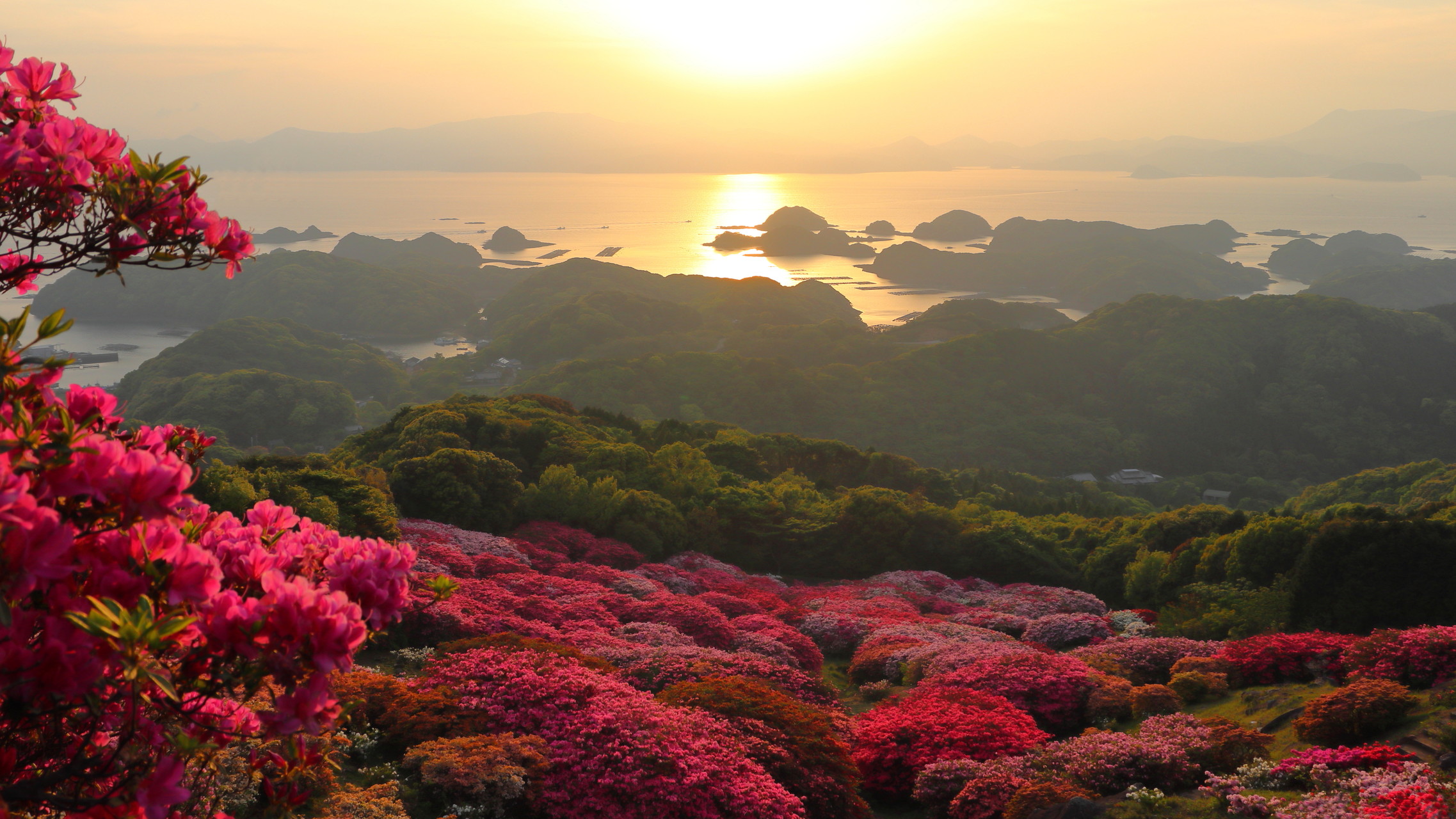 平戸オルレ 長串山つつじまつりへ ウェーブちんさんの平戸市 北部 生月島の活動データ Yamap ヤマップ