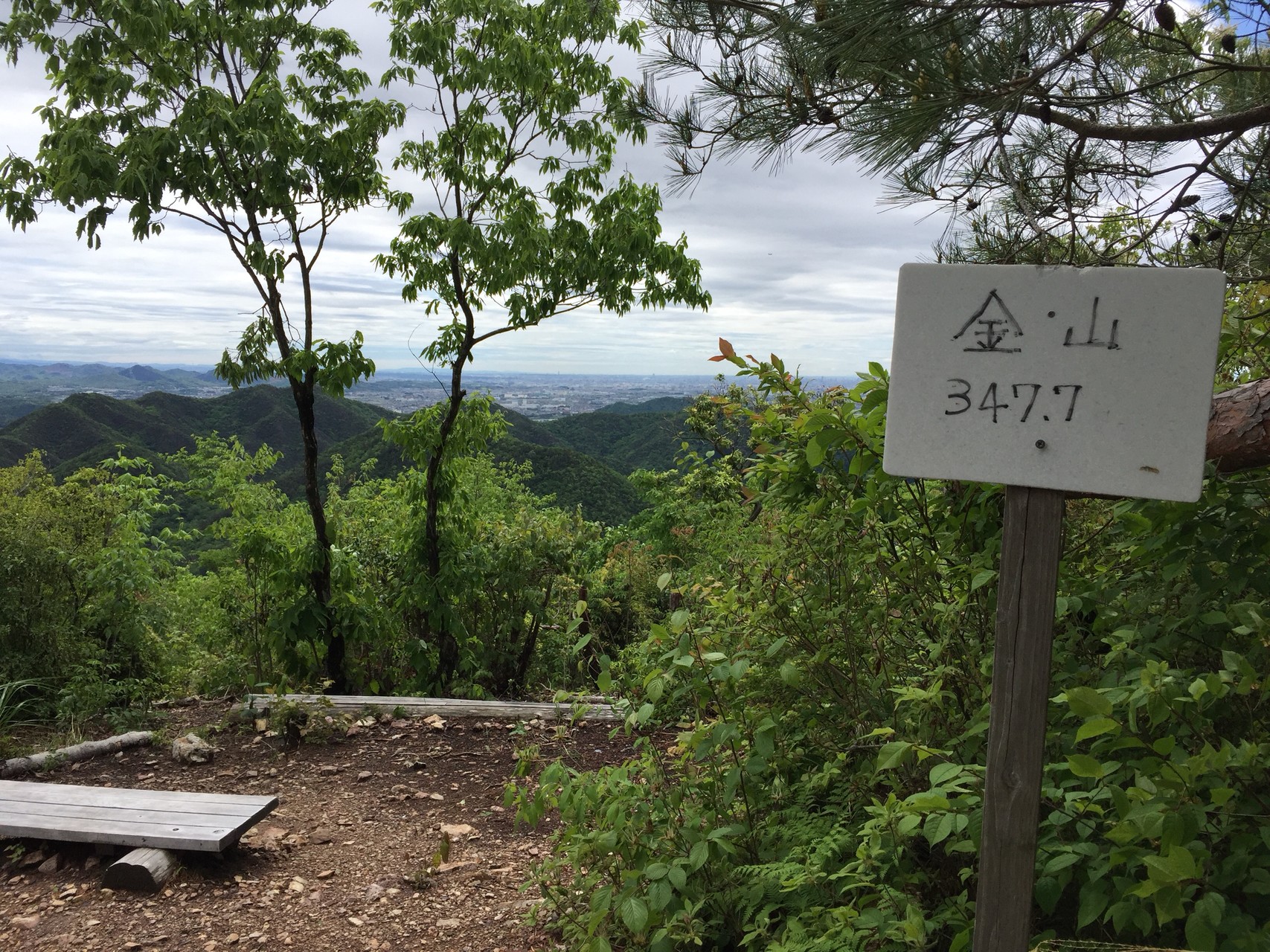天気予報を信じて雨上がりの各務ヶ原アルプス もんちくさんの各務原アルプス 八木三山の活動データ Yamap ヤマップ