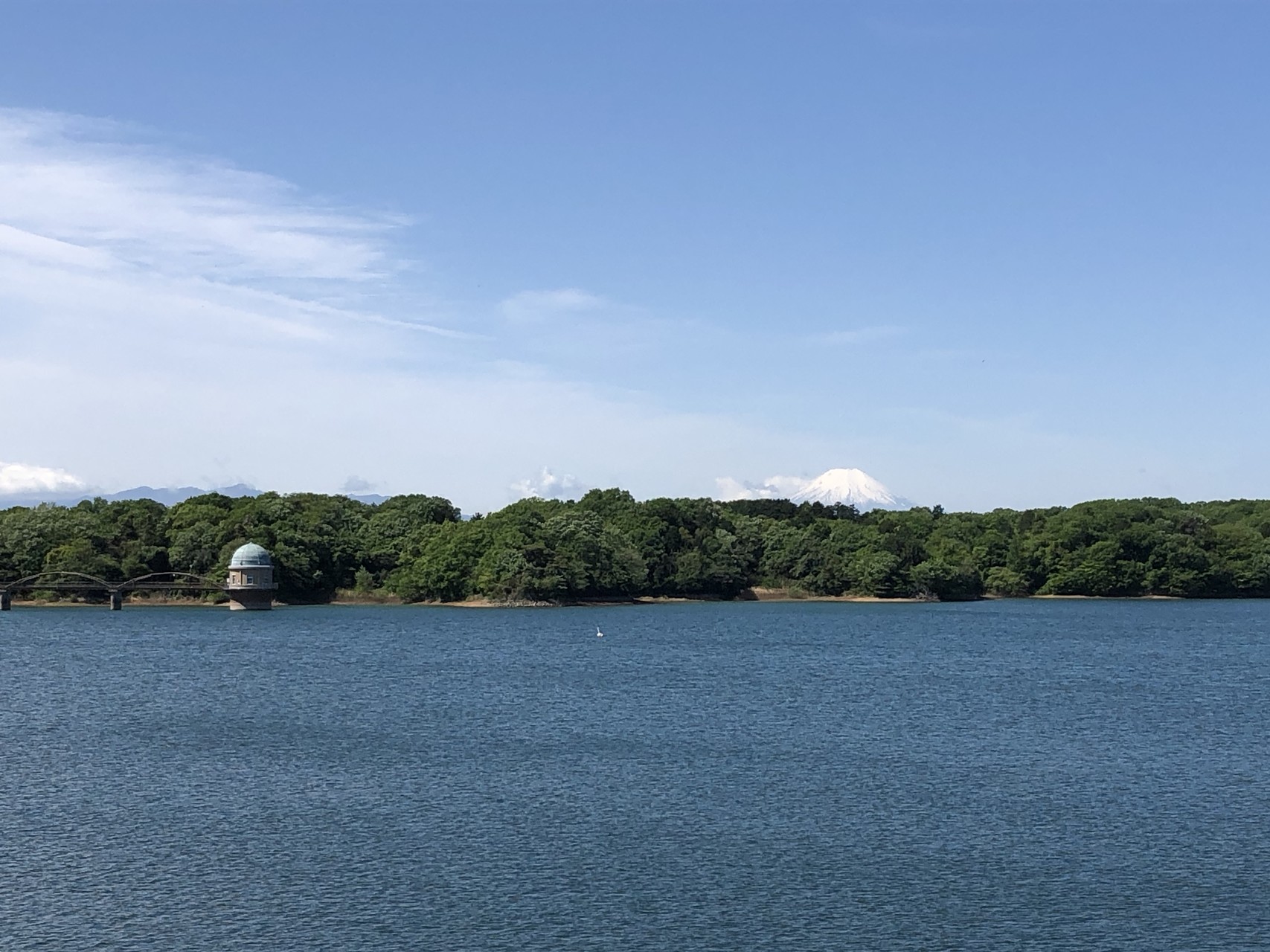 多摩湖を一周 ちょっとだけ狭山湖 とっしーさんの国分寺市の活動日記 Yamap ヤマップ