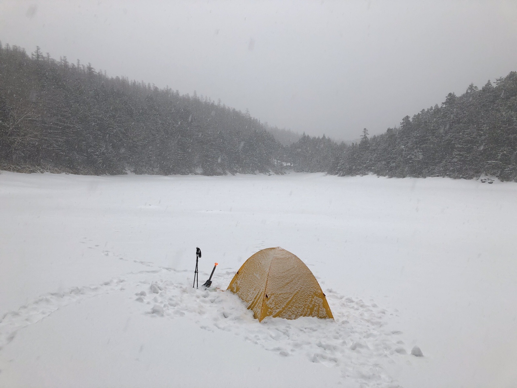 北横岳 大岳 双子池 反省 八ヶ岳 03 07 ラテlatteさんの蓼科山 横岳 縞枯山の活動データ Yamap ヤマップ