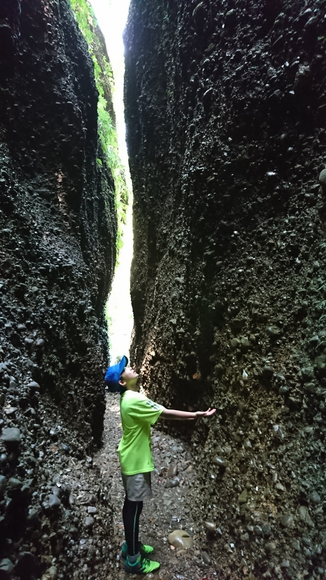 小笠山のパワースポット六枚屏風岩 チュンタさんの小笠山の活動データ Yamap ヤマップ