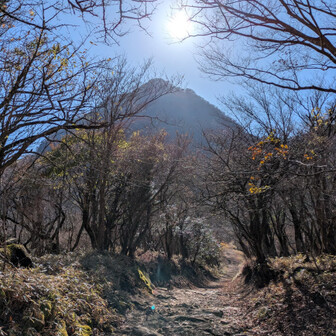 これから行く金時山と確信