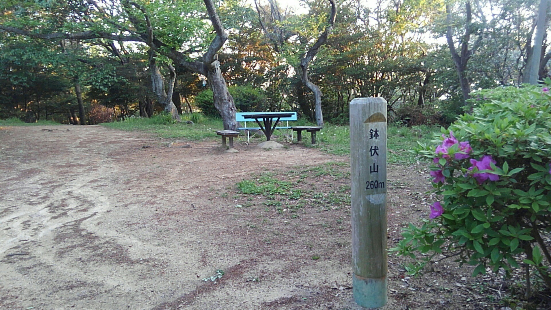 1201 ハイク ラン 1day 六甲全山縦走逆から 宝塚 新神戸25 31km Katuo55 山を 登り 走り 滑る