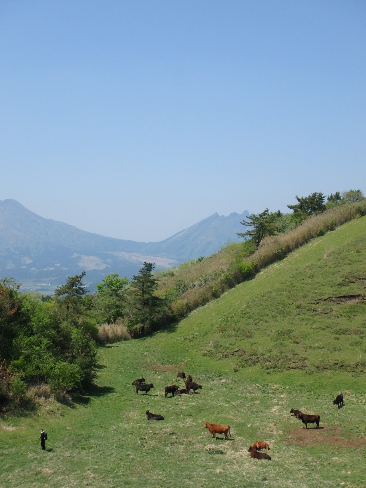 阿蘇外輪山 清水峠 高森峠 Mikineeさんの阿蘇山 高岳 根子岳の活動データ Yamap ヤマップ