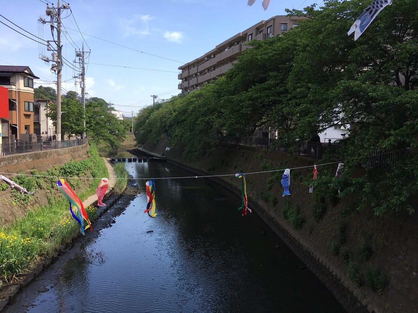 Gw前半最後は大岡川プロムナードで朝ランです Junさんの横浜市 南エリアの活動日記 Yamap ヤマップ
