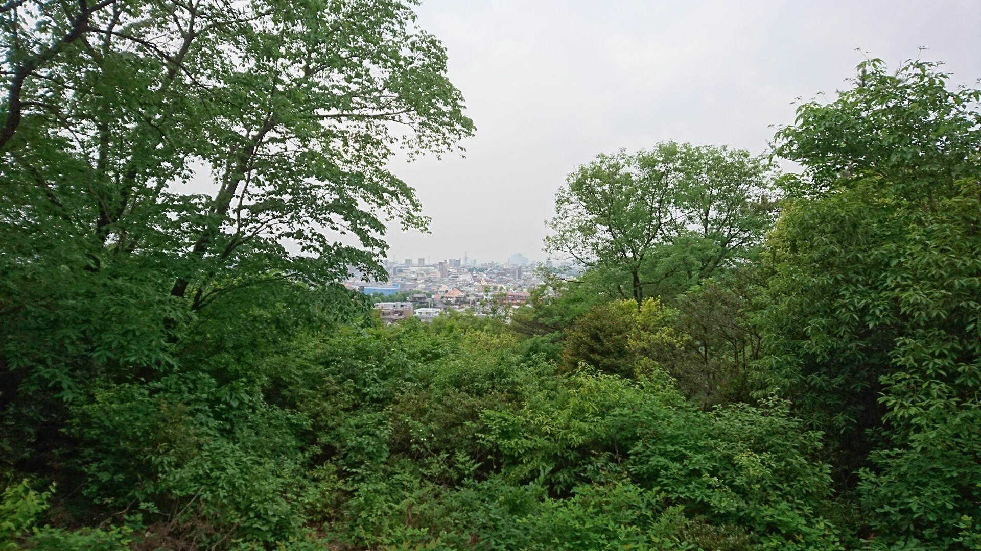 荒池緑地 相生山緑地 Prius7936さんの名古屋市の活動日記 Yamap ヤマップ