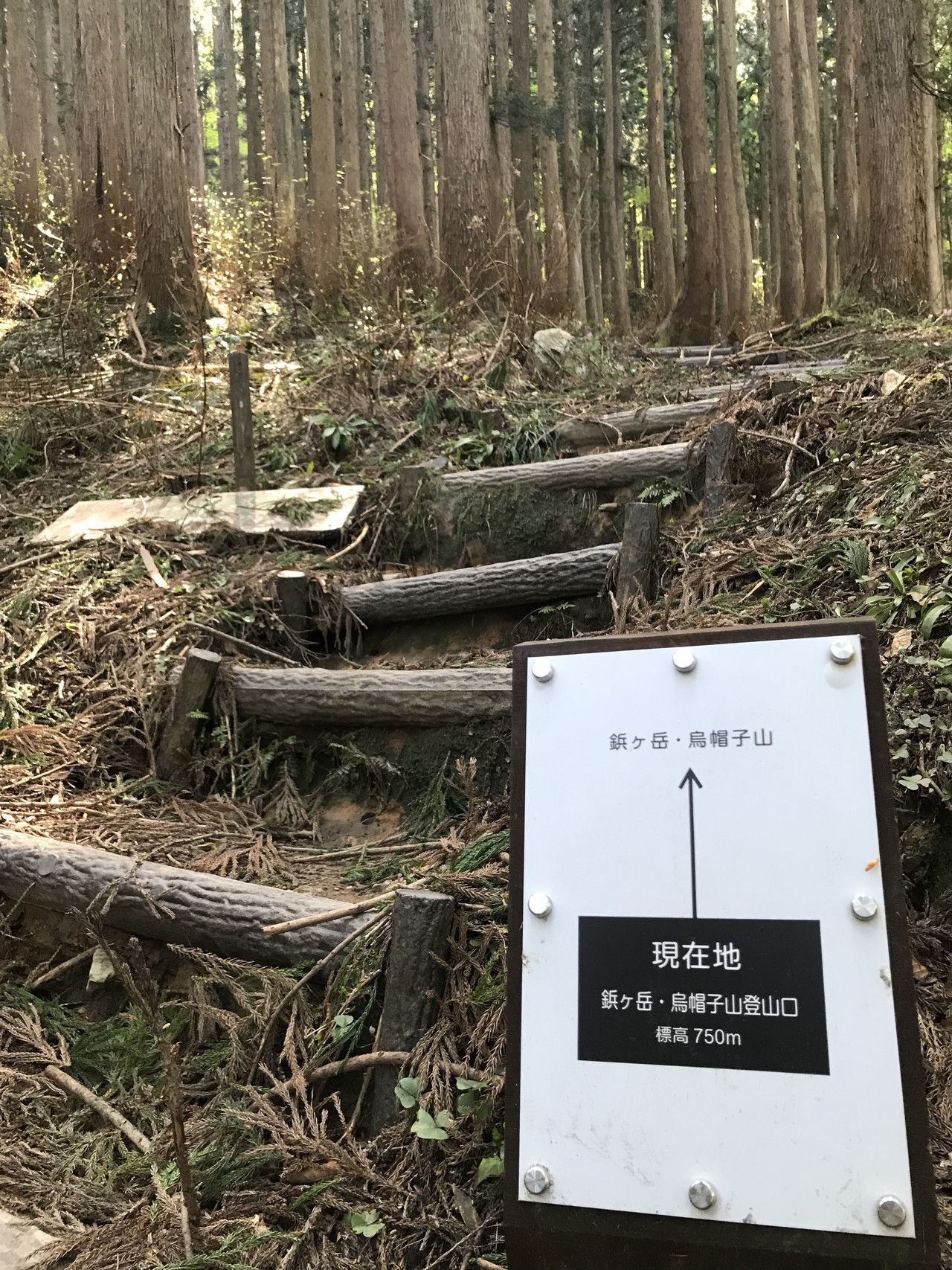 烏帽子山 バースデー登山 Meekさんの僧ヶ岳 駒ヶ岳 越中駒ヶ岳 の活動日記 Yamap ヤマップ