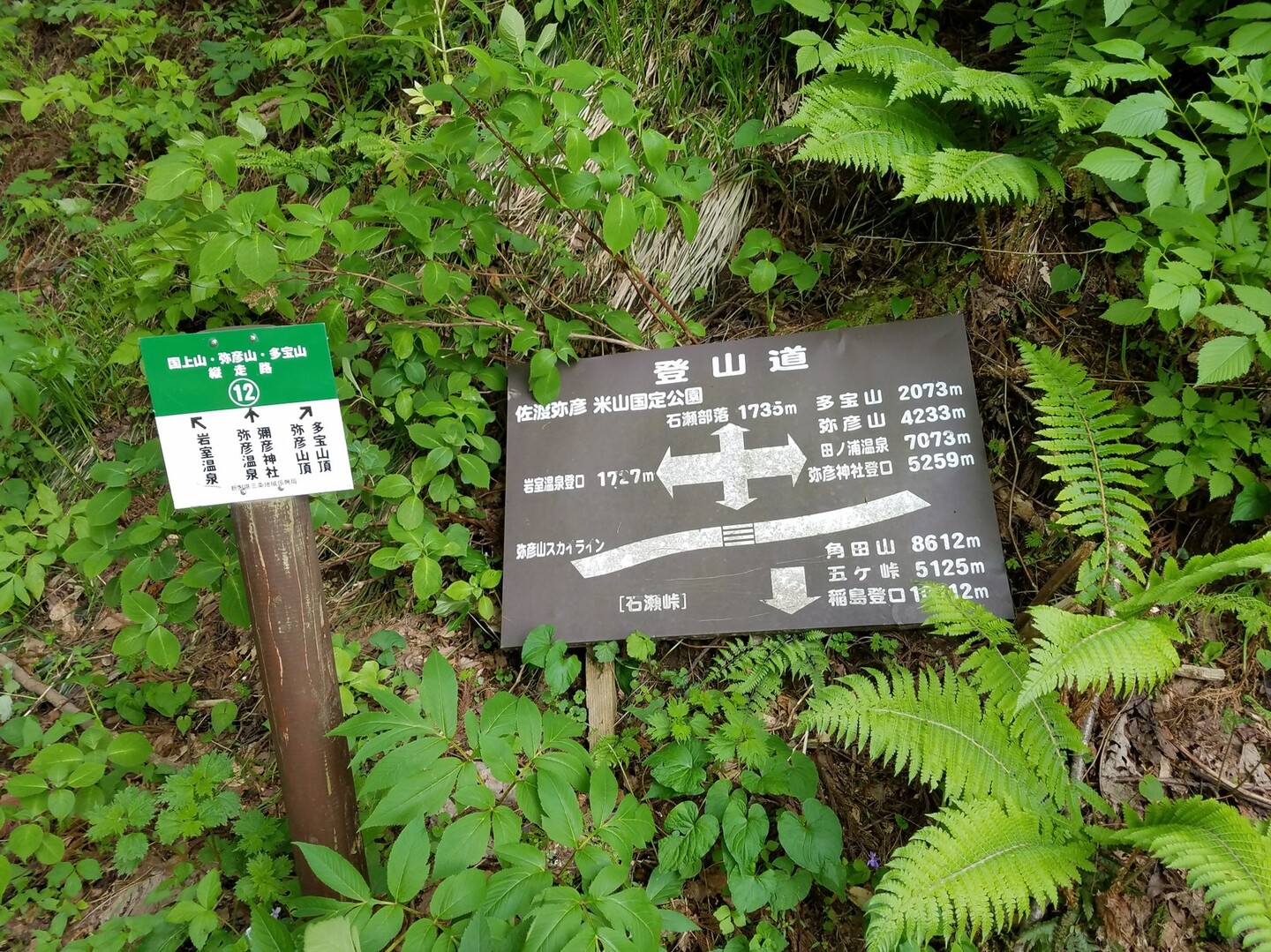 さようなら もちうさぎ 記念登山は弥彦山 Nekosanpoさんの角田山の活動日記 Yamap ヤマップ