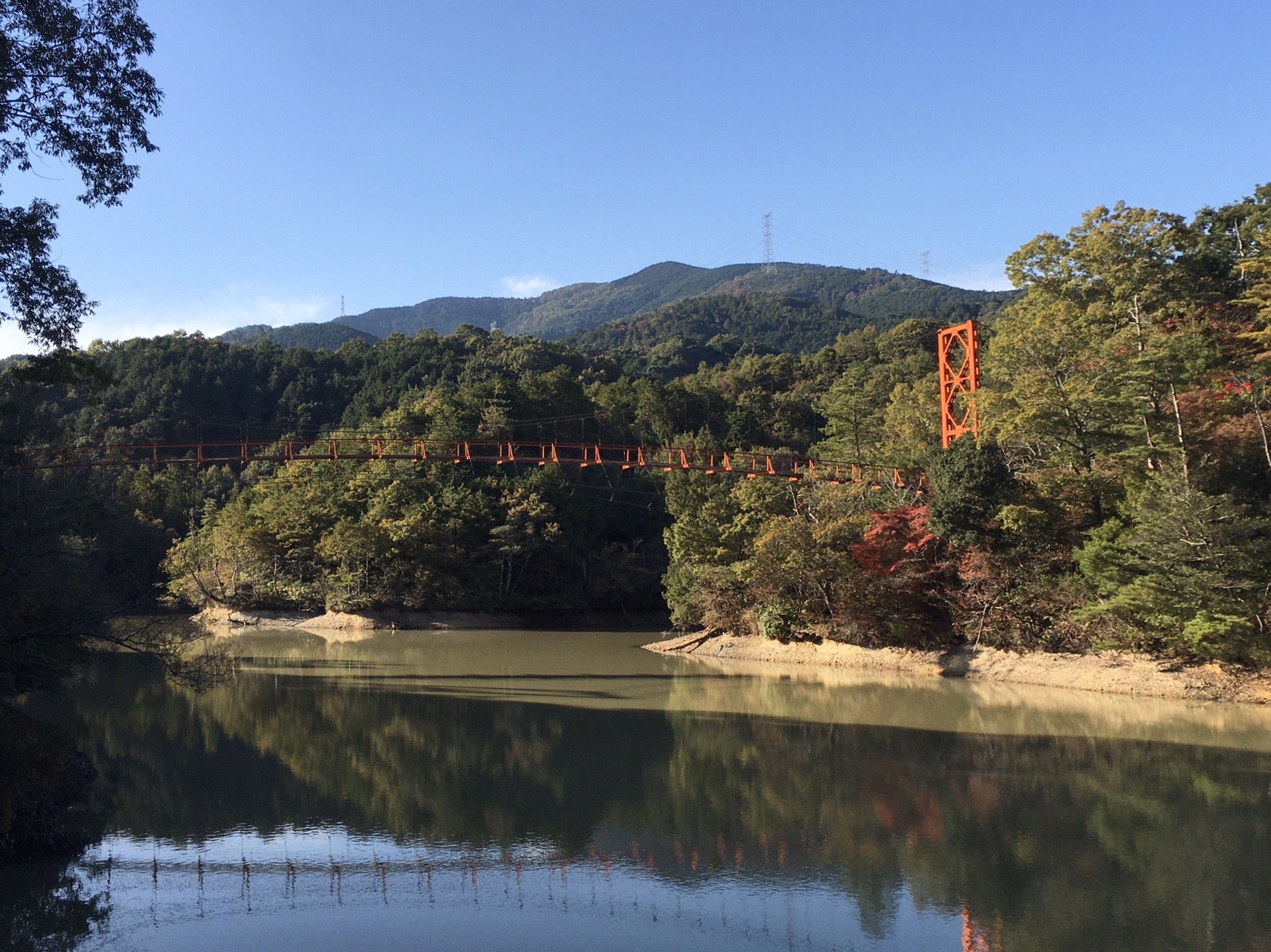 岩湧山のススキ 杉村公園の紅葉 たこやきさんの岩湧山 一徳防山 三石山の活動データ Yamap ヤマップ
