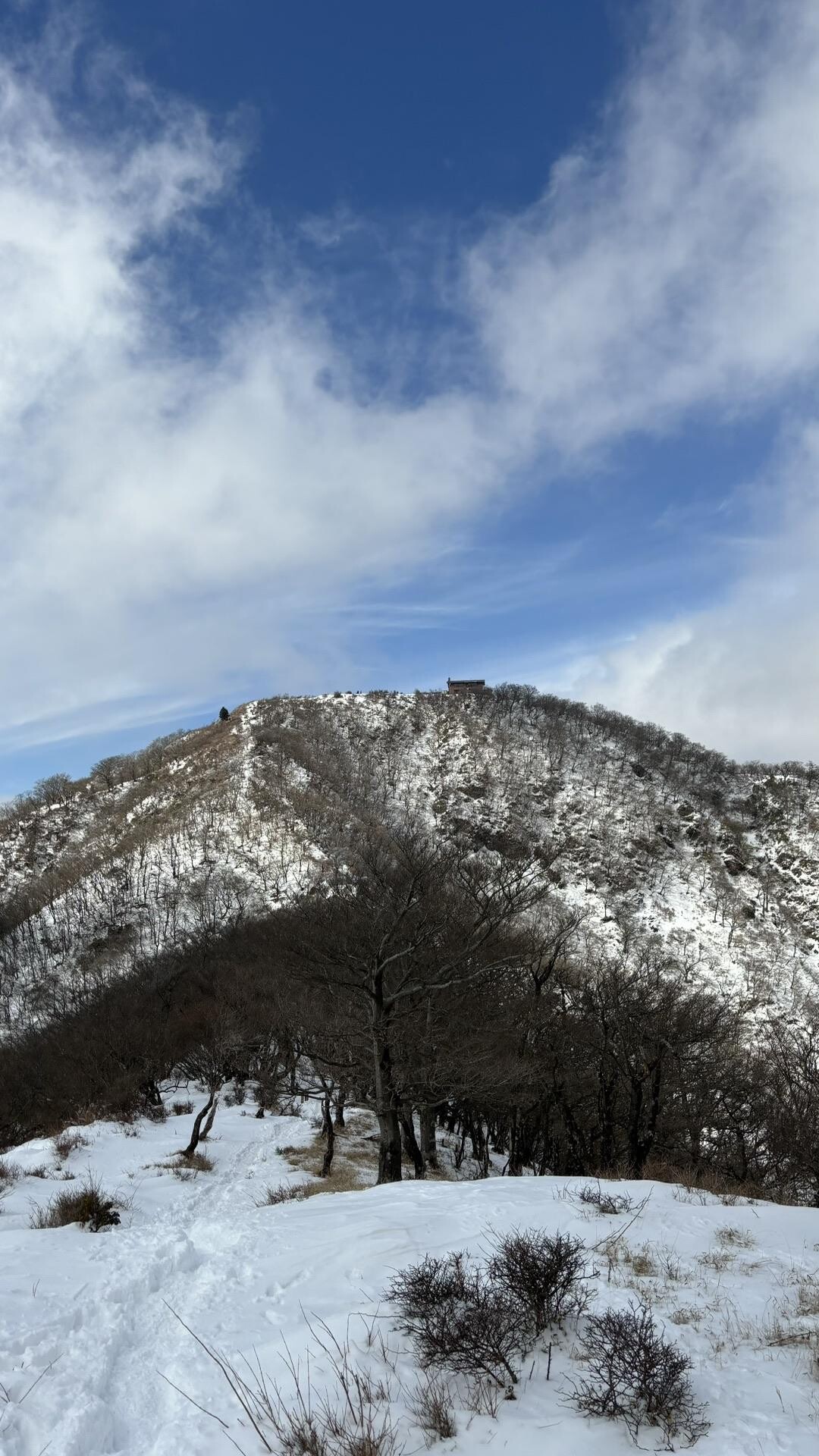 政次郎ノ頭・新大日・木ノ又大日・塔ノ岳 / ペンタスさんの塔ノ岳・丹沢山・蛭ヶ岳の活動データ YAMAP / ヤマップ