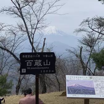 百蔵山からは富士山がしっかり見えました。少し霞んでいましたが、これぞ春ですね。
Mt. Fuji could be seen from the top of Mt. Momokura, but its shape was blurred due to the spring moisture.