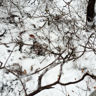 生藤山 滑って滑落