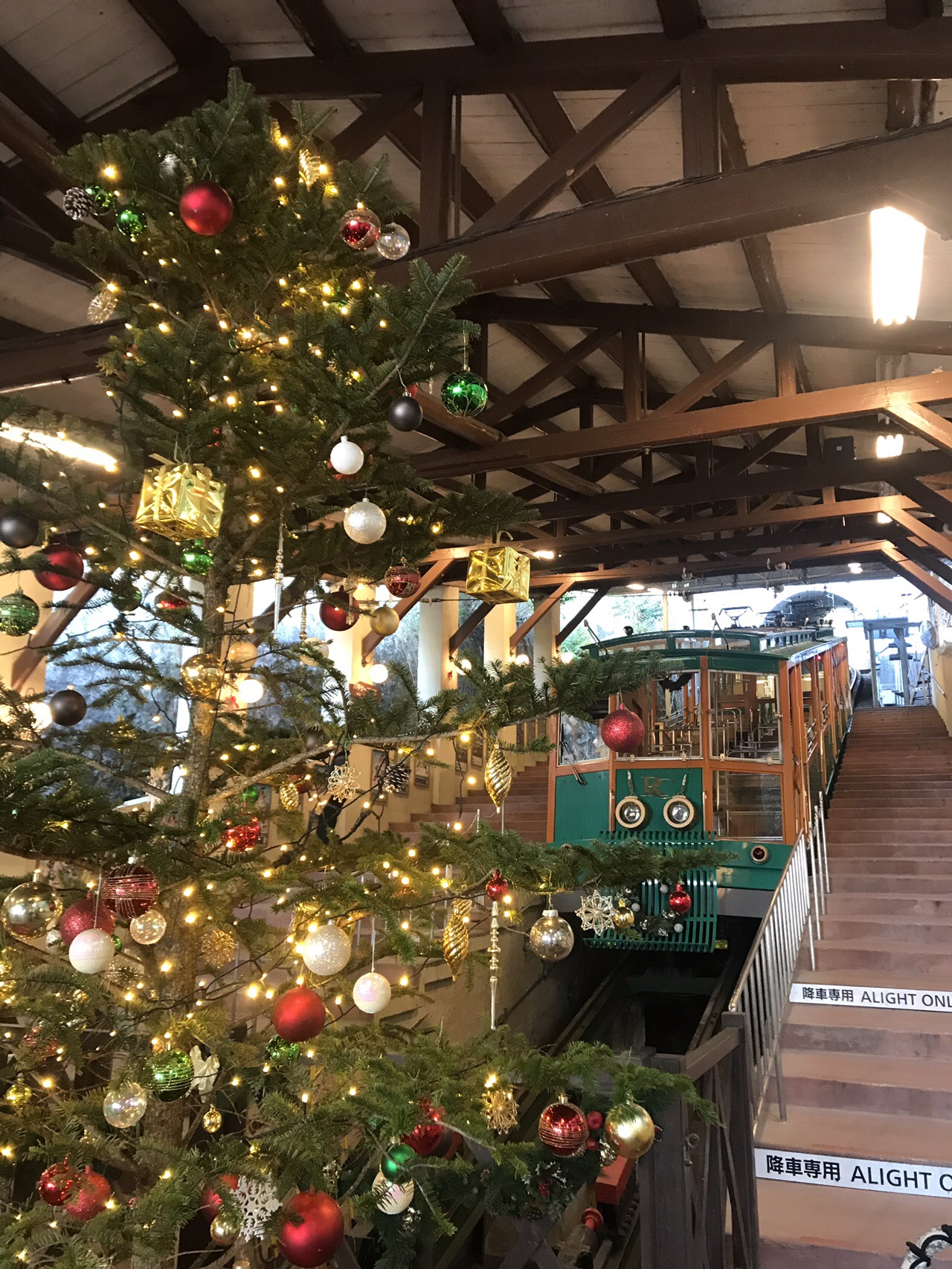 フェリーから六甲そして有馬温泉 ヒトヨシ さんの六甲山 長峰山 摩耶山の活動日記 Yamap ヤマップ