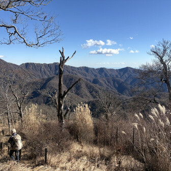ここから長いのよ