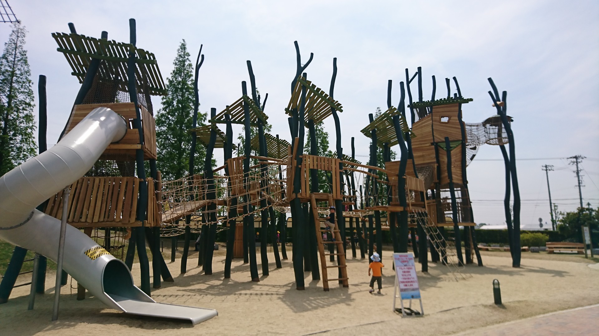 デンパークと八ﾂ面山 Nakaoさんの茶臼山 万灯山の活動日記 Yamap ヤマップ