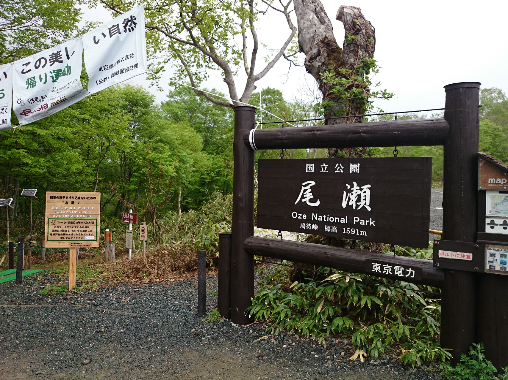 純白のミズバショウ映える尾瀬ヶ原 トレッキングさんの尾瀬 燧ヶ岳の活動データ Yamap ヤマップ