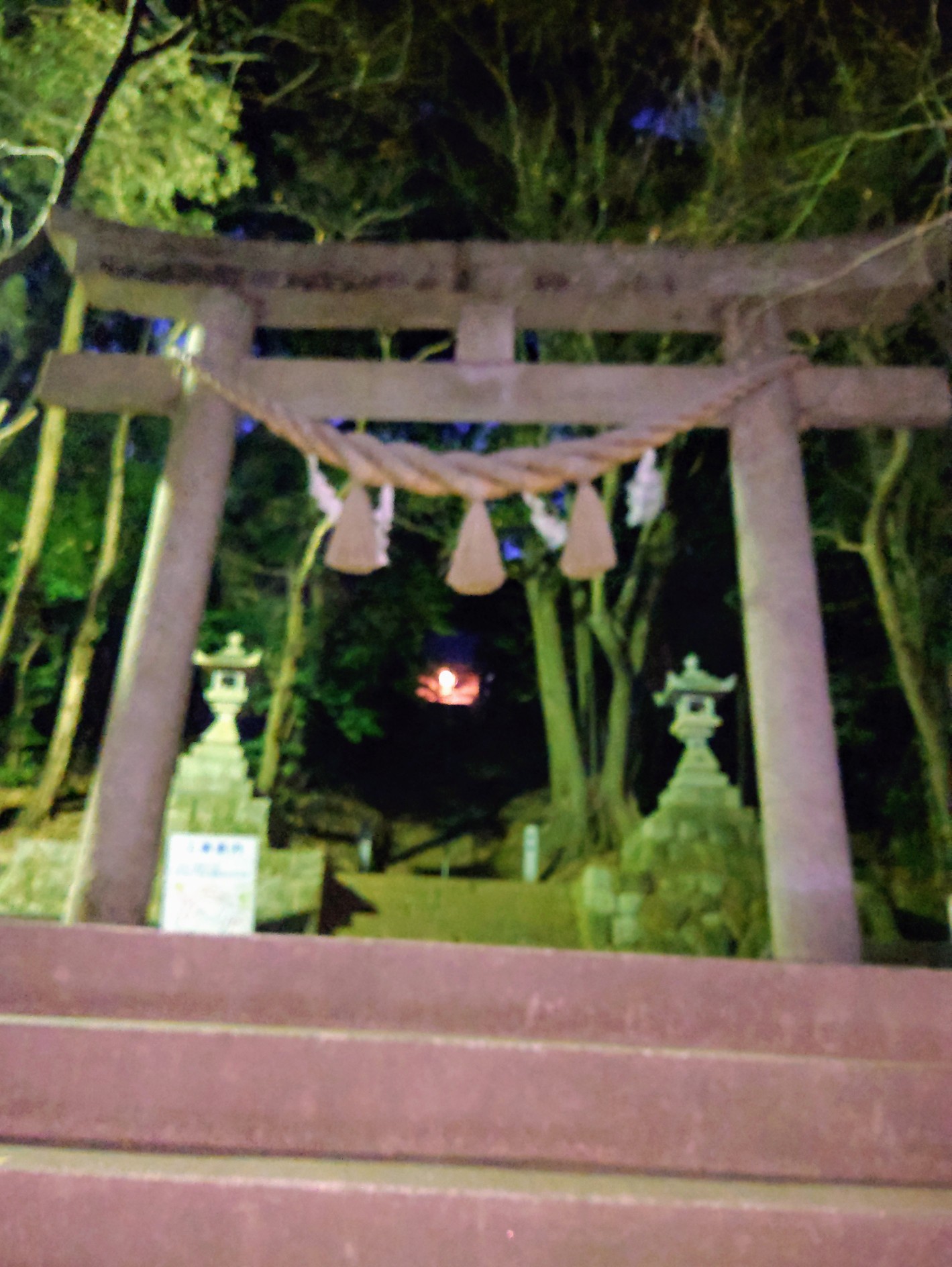 八ッ面山 やつおもてやま 家から一番近い山 ぁぃ さんの茶臼山 西尾市 万灯山の活動日記 Yamap ヤマップ