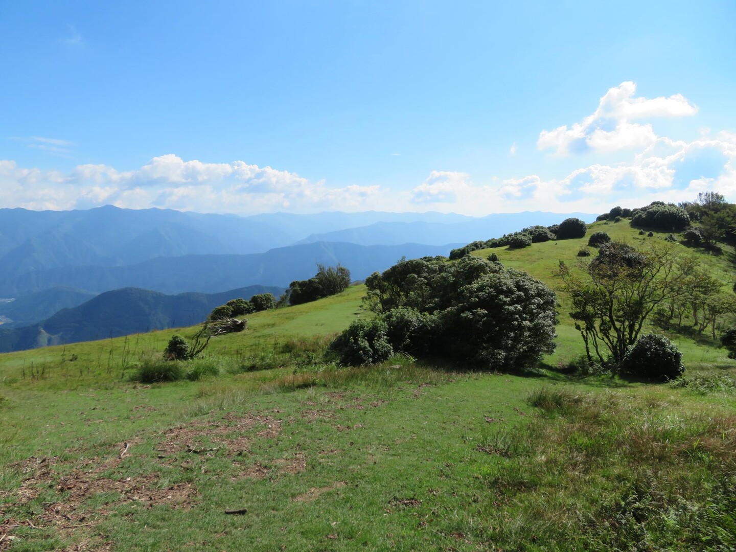 ホソバノヤマハハコを愛でに三峰山 / さなりんさんの三峰山・学能堂山・栗ノ木岳の活動データ | YAMAP / ヤマップ