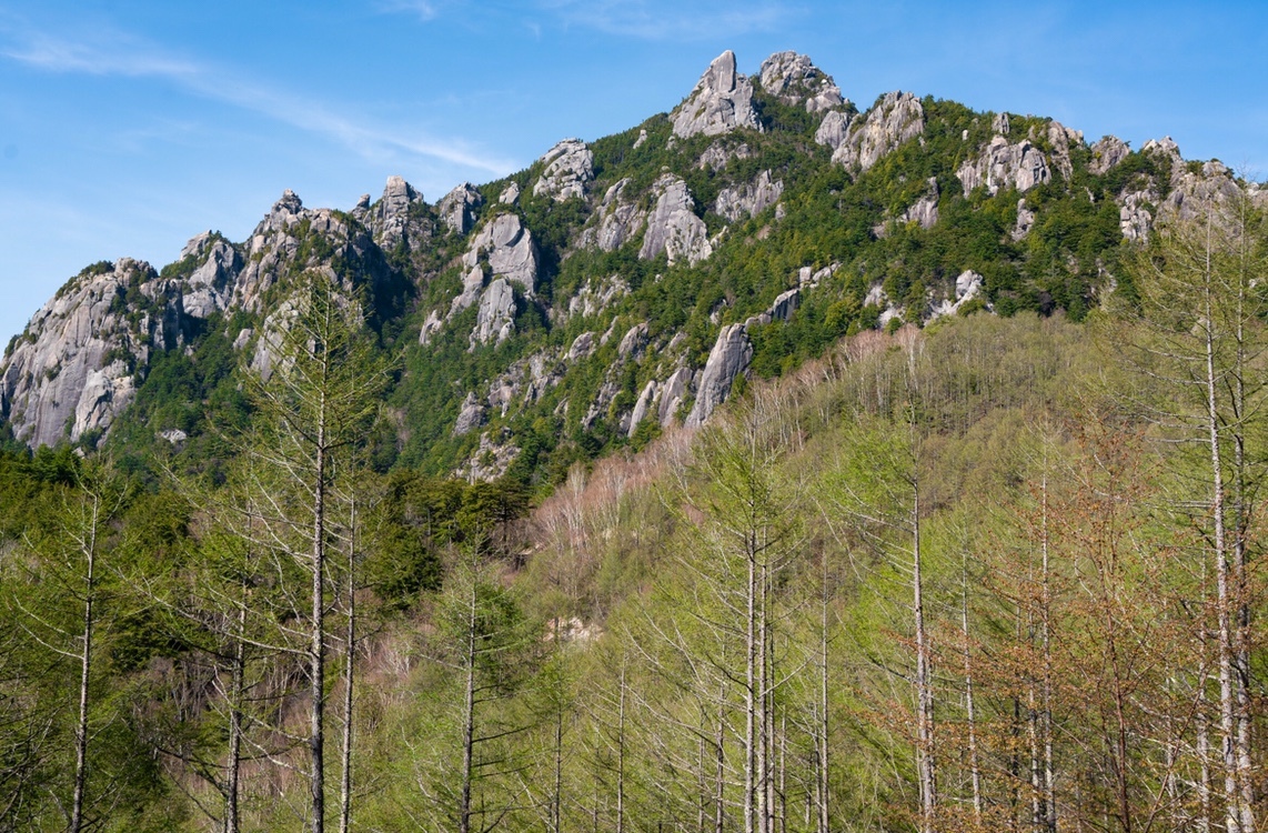 瑞牆山の最新登山情報 / 人気の登山ルート、写真、天気など  YAMAP 