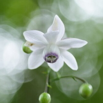 ケイのページ YAMAP / ヤマップ