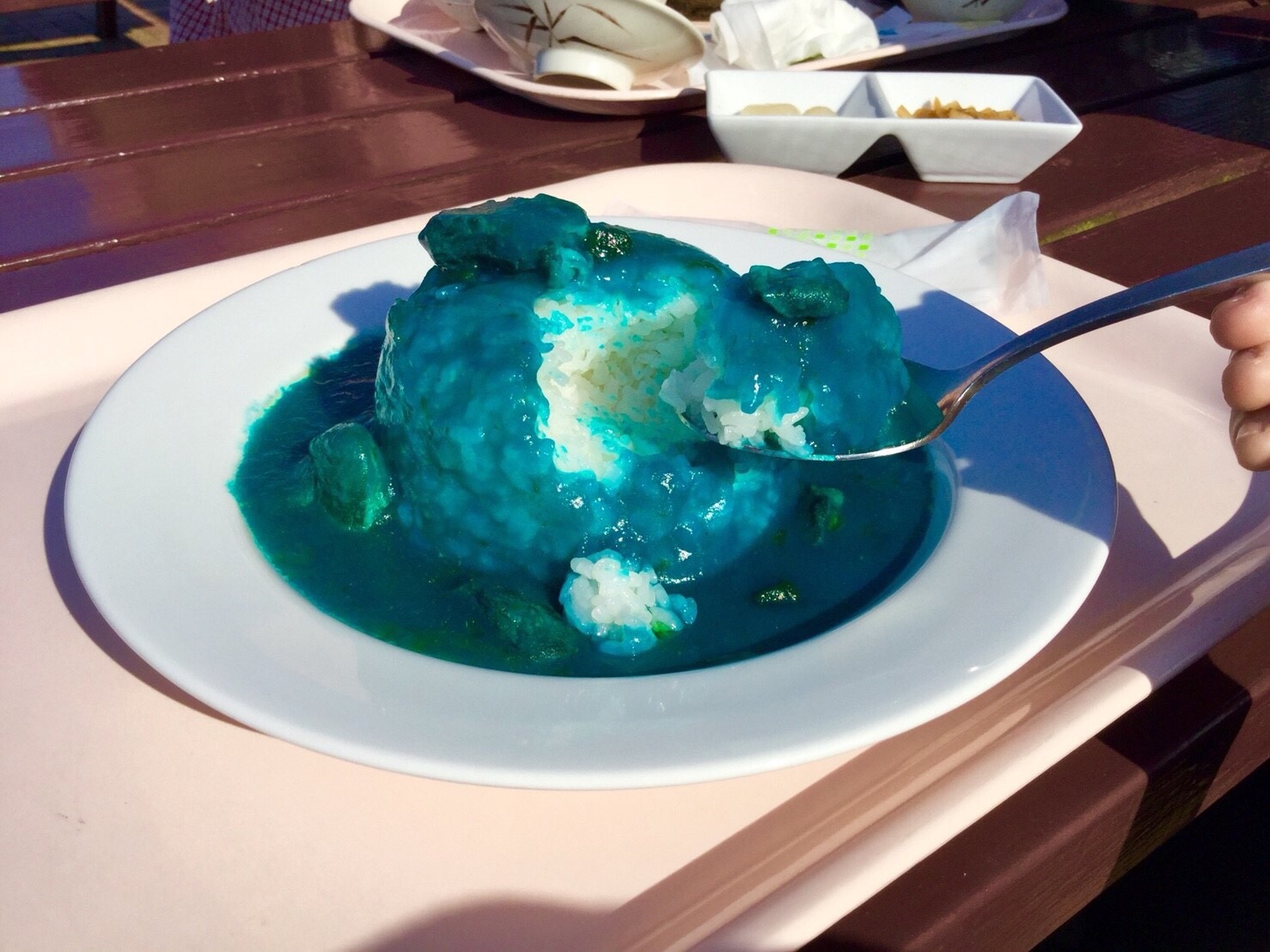 観光レポ ひたち海浜公園 ネモフィラ絨毯 リンダさんのいわき市の活動日記 Yamap ヤマップ