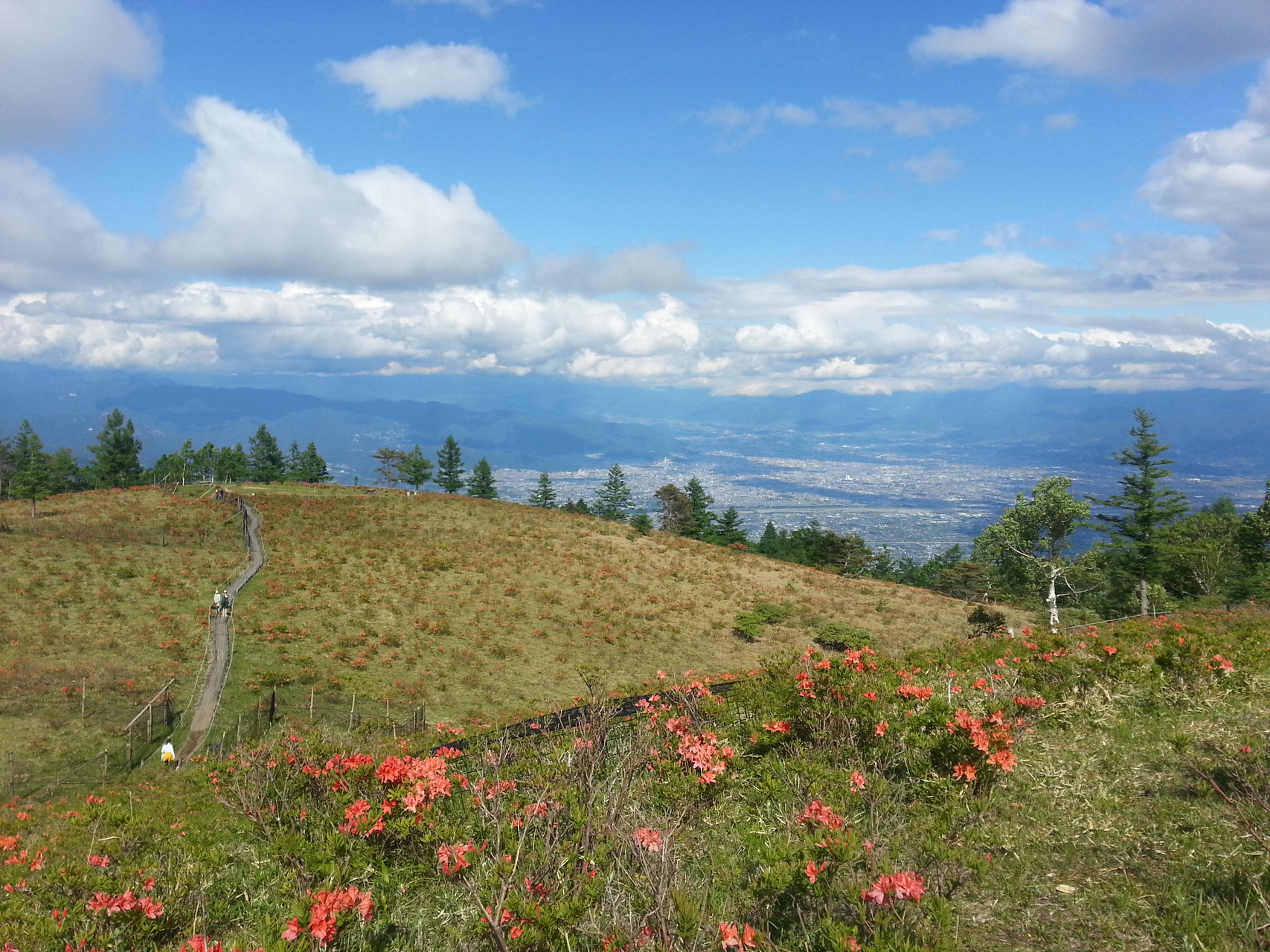 甘利山にツツジを見に行ってみました やまちゃんさんの北岳 間ノ岳 農鳥岳の活動データ Yamap ヤマップ