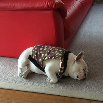 ぶひ子のページ Yamap ヤマップ