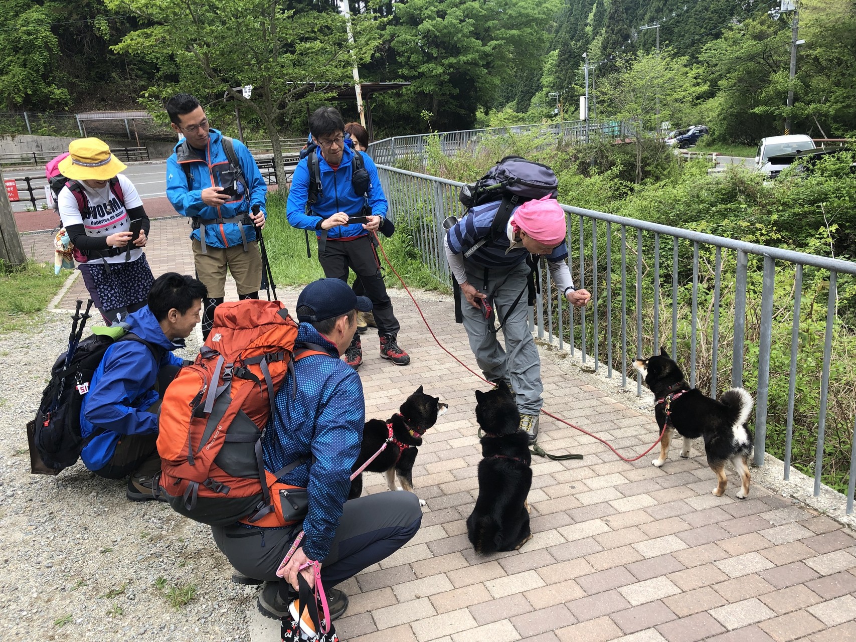 金剛山で犬脚健脚コラボ W よういちろうさんの金剛山 二上山 大和葛城山の活動日記 Yamap ヤマップ