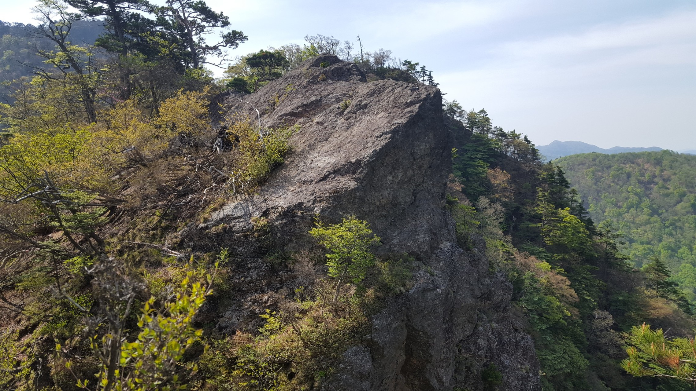 九州３日目 傾山 吉作落としを訪ねて ヒコーキ１号さんの傾山の活動データ Yamap ヤマップ