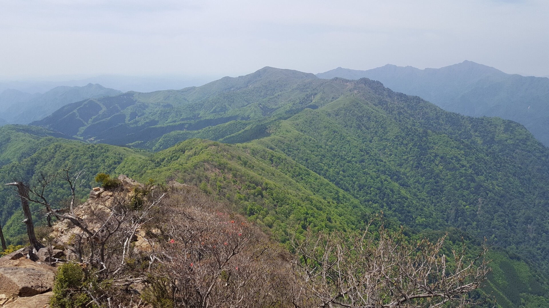 九州３日目 傾山 吉作落としを訪ねて ヒコーキ１号さんの傾山の活動データ Yamap ヤマップ