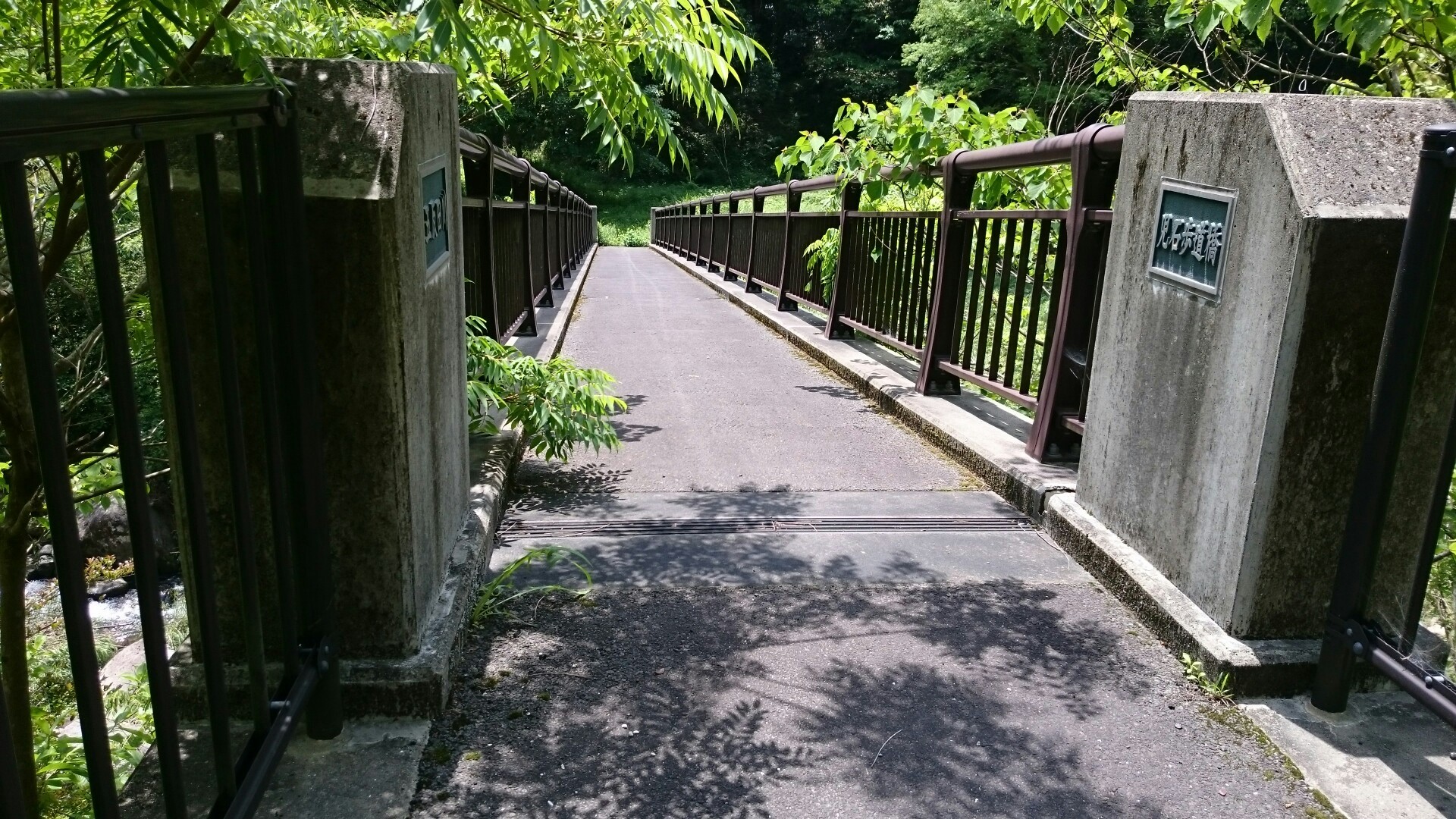 冠嶽園周辺 串木野ダム Rockyさんの冠岳 鹿児島県いちき串木野市 の活動データ Yamap ヤマップ