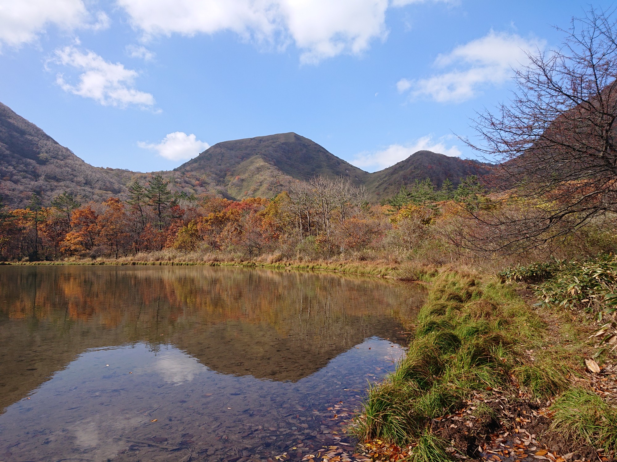 三瓶山ちょこっと紅葉見物 はなちゃんのパパさんの三瓶山 大平山の活動データ Yamap ヤマップ