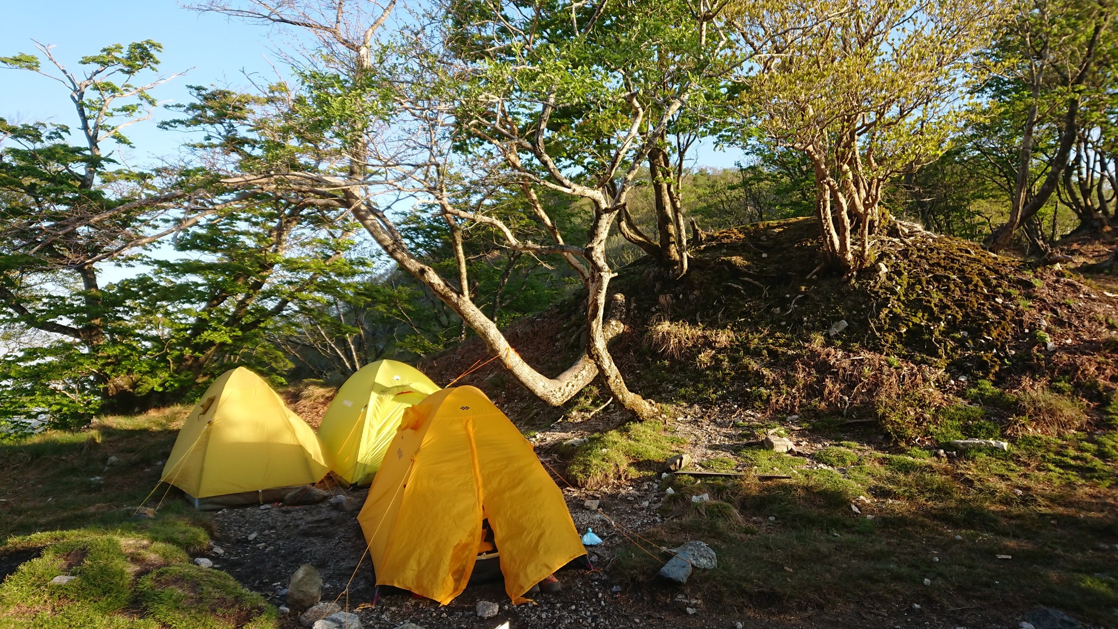 テン泊日記第二弾 其之二 イブネ クラシと御在所岳はアゼリアでの最後の晩餐 ゆうさんの御在所岳 御在所山 雨乞岳の活動日記 Yamap ヤマップ