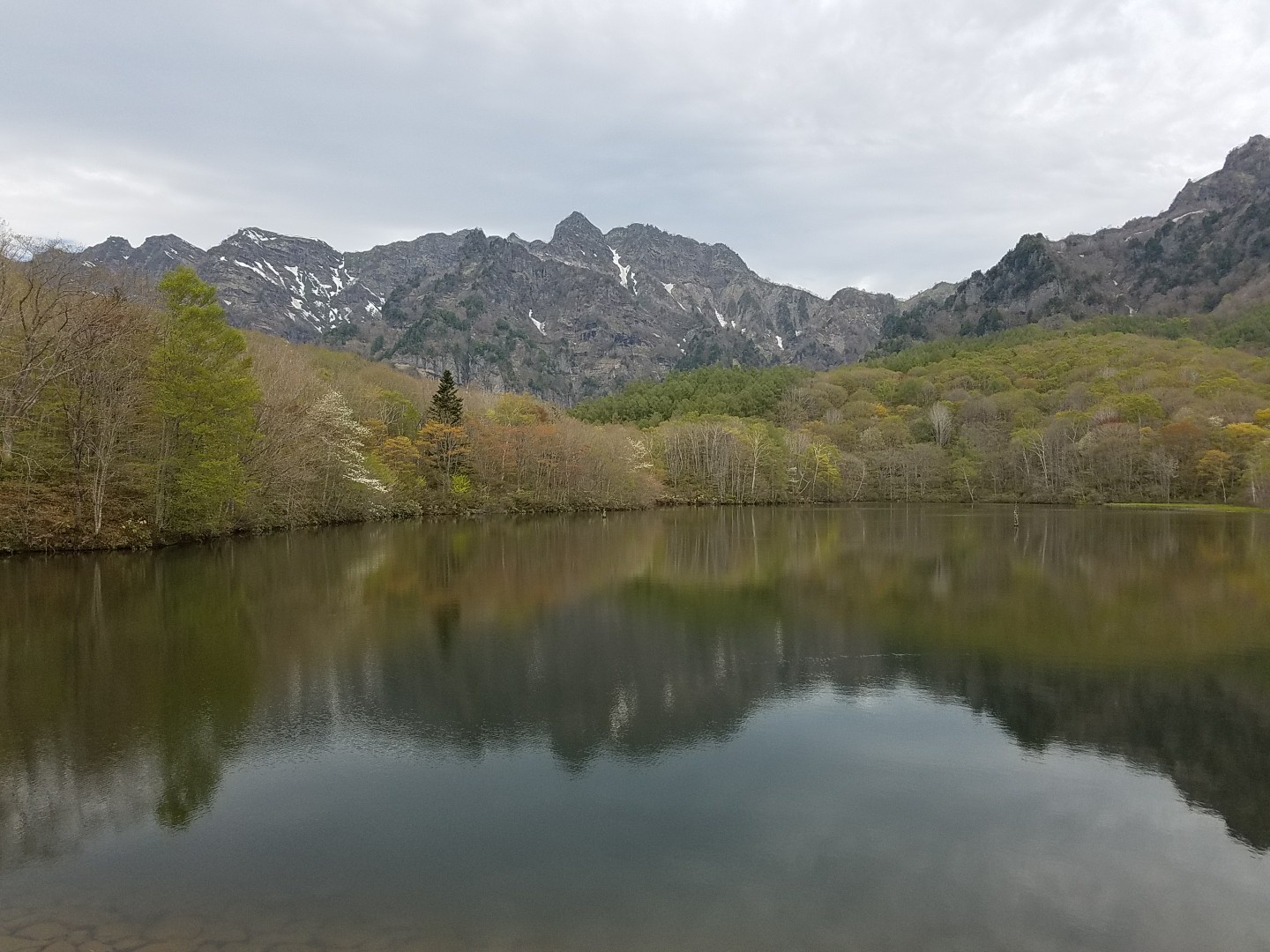 戸隠自然公園ハイキング Ryotaさんの高妻山 戸隠山の活動データ Yamap ヤマップ