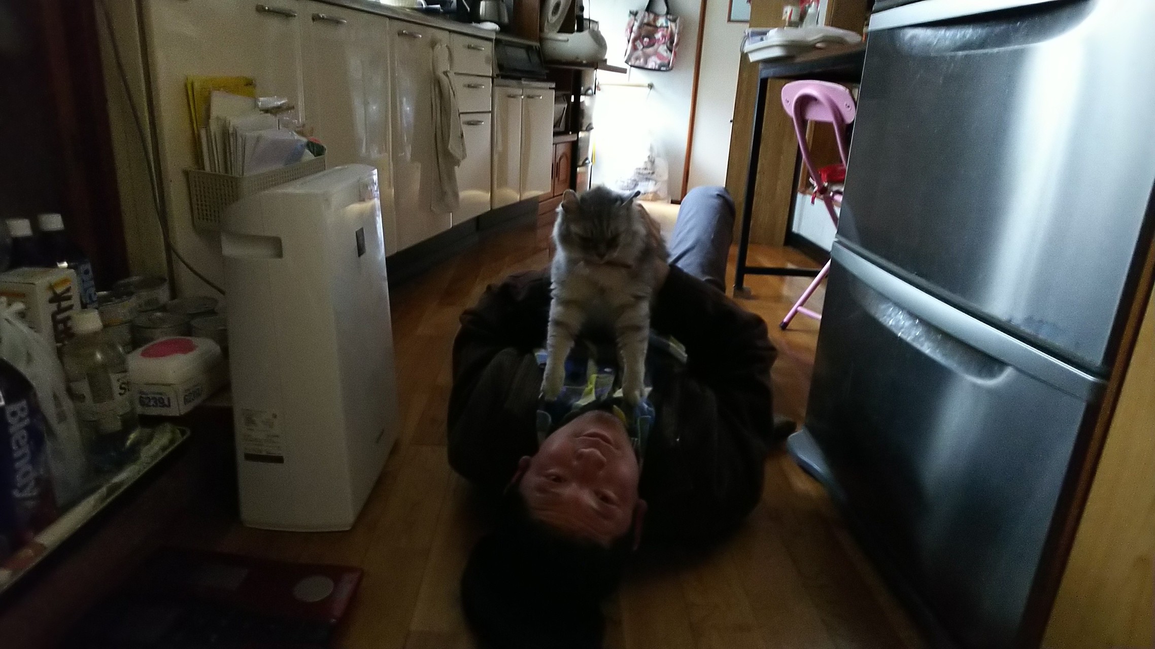 ｇｗ明けは壱岐へ かつさんの壱岐の活動日記 Yamap ヤマップ