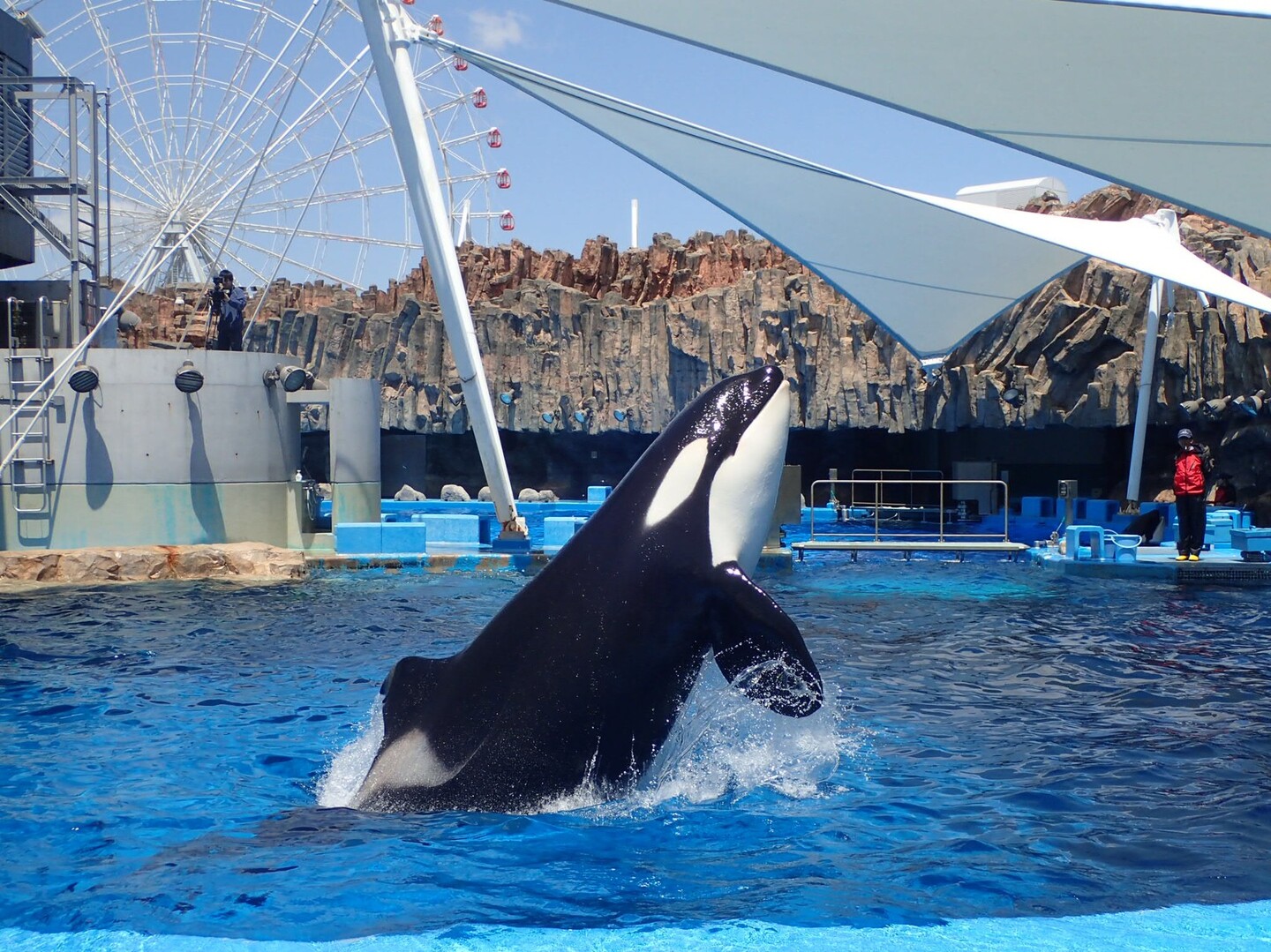 名古屋港水族館で念願のシャチとご対面 Ume703さんの名古屋市の活動日記 Yamap ヤマップ