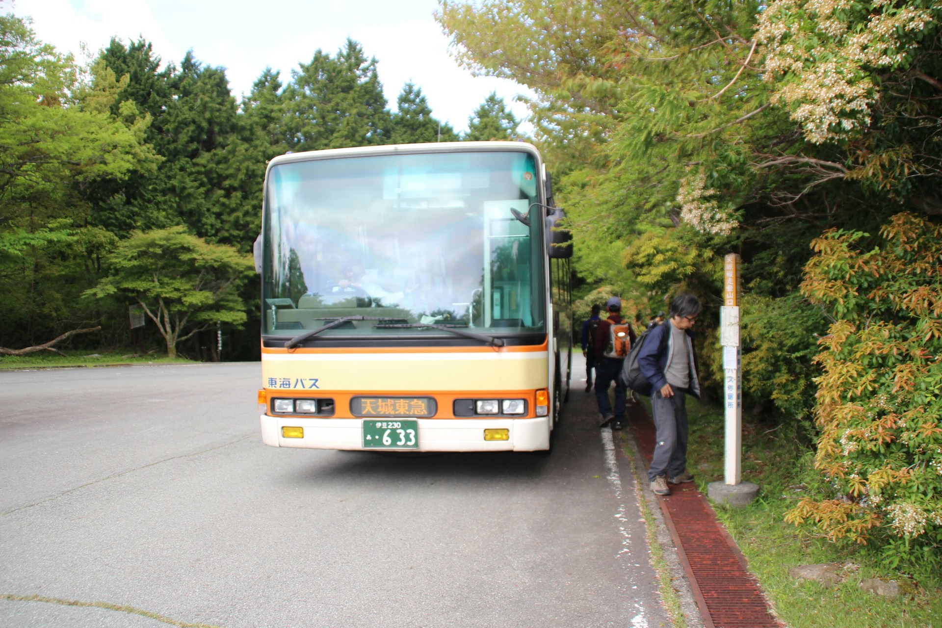 天城山 ミツバツツジ満開 石楠花少ない アセビこれから さっさんさっさんさんの天城山 鉢ノ山 三筋山の活動データ Yamap ヤマップ
