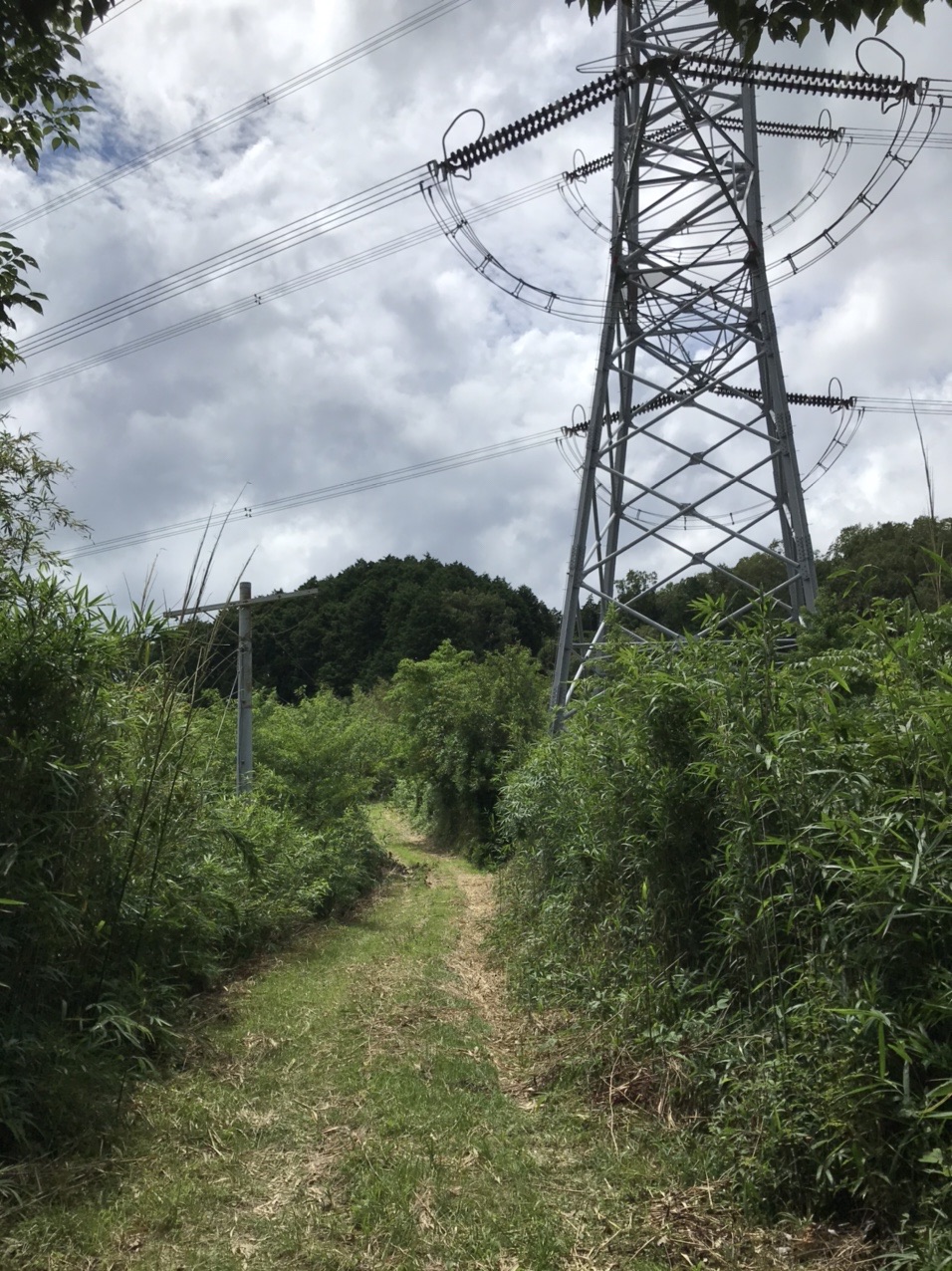 生駒山・神津嶽・大原山 鉄塔をぬけて、