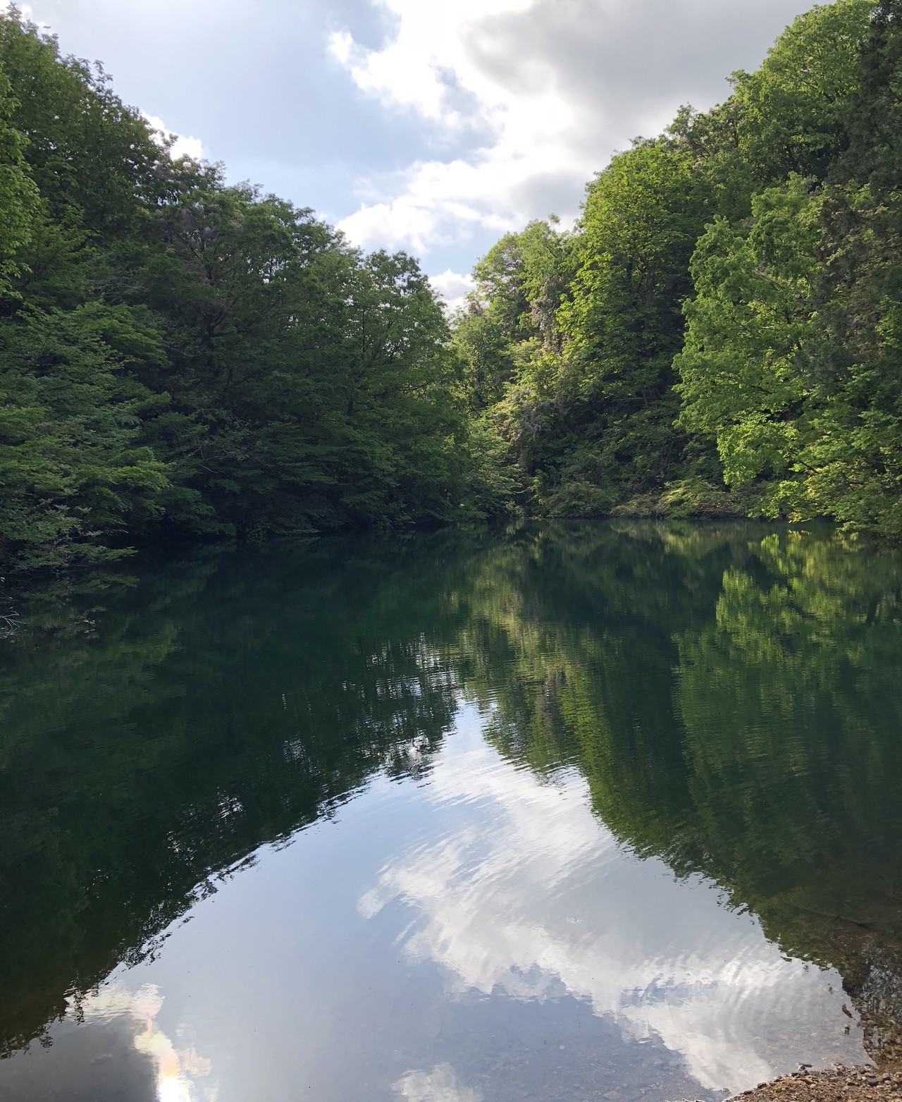 2018.5.10 ⛅️ 静かな静かな 怖いくらい静かな深い森の奥 蟹淵 / よう 